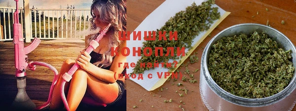 спиды Осташков