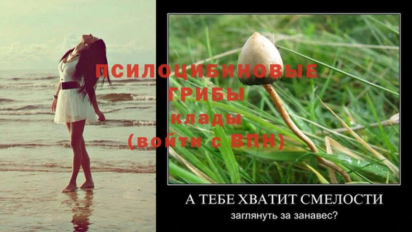 спиды Осташков