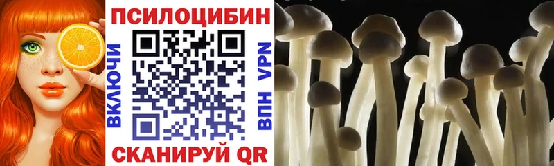 Галлюциногенные грибы Magic Shrooms  наркошоп  Берёзовка 